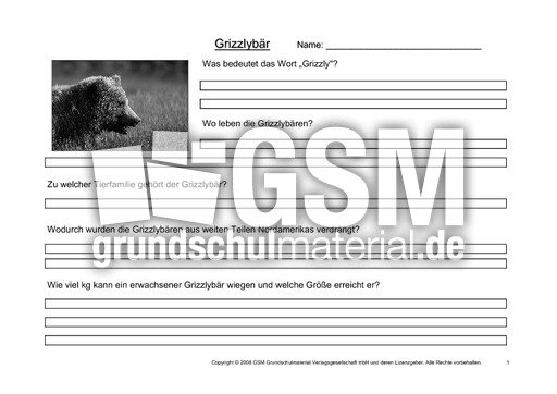 Grizzly-Fragen-1.pdf
